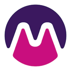 Florence Finance Medici