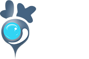 LOBO TECHNOLOGIES LTD