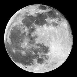Moon 로고